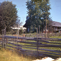 Деревня Петраково, Устьянский район, Архангельская область