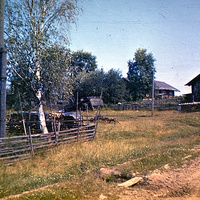 Деревня Петраково, Устьянский район, Архангельская область