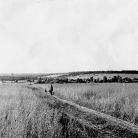 Деревня Петраково, Устьянский район, Архангельская область