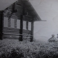 Деревня Петраково, Устьянский район, Архангельская область