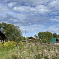 Деревня Петраково, Устьянский район, Архангельская область 2025 год