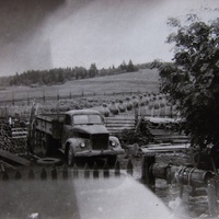 Деревня Петраково, Устьянский район, Архангельская область