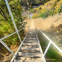 На территории СОСЛ МЭИ "Алушта". Лестница спуска с жилого корпуса "Марс".