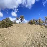 "Марсианская тропа" к вершине одного из холмов на территории СОСЛ МЭИ "Алушта".