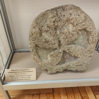 Алуштинский историко-краеведческий музей.