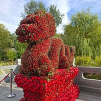 Изобильный фруктово-ягодный (из яблок и вишен) Дракон в парке Хуамин