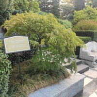 Парк «Айвазовское» — ландшафтный парк на берегу Чёрного моря. Расположен у подножия Медведь-горы в посёлке.