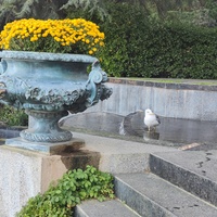 Парк «Айвазовское» — ландшафтный парк на берегу Чёрного моря. Расположен у подножия Медведь-горы в посёлке. Лестница Раевского (лестница искусств). Слева - Каскадный  водопад. и живая чайка.