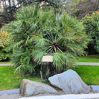 Парк «Айвазовское» — ландшафтный парк на берегу Чёрного моря. Расположен у подножия Медведь-горы в посёлке.