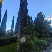 Парк «Айвазовское» — ландшафтный парк на берегу Чёрного моря. Расположен у подножия Медведь-горы в посёлке.