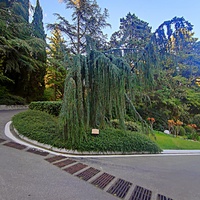 Парк «Айвазовское» — ландшафтный парк на берегу Чёрного моря. Расположен у подножия Медведь-горы в посёлке.