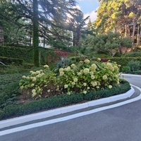 Парк «Айвазовское» — ландшафтный парк на берегу Чёрного моря. Расположен у подножия Медведь-горы в посёлке.