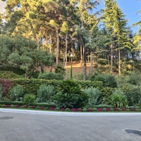 Парк «Айвазовское» — ландшафтный парк на берегу Чёрного моря. Расположен у подножия Медведь-горы в посёлке.