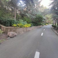 Парк «Айвазовское» — ландшафтный парк на берегу Чёрного моря. Расположен у подножия Медведь-горы в посёлке.