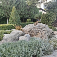 Парк «Айвазовское» — ландшафтный парк на берегу Чёрного моря. Расположен у подножия Медведь-горы в посёлке.