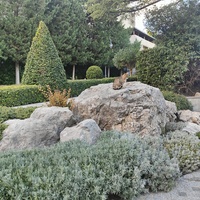 Парк «Айвазовское» — ландшафтный парк на берегу Чёрного моря. Расположен у подножия Медведь-горы в посёлке.