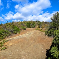 Урочище Малое Семидворье на холмах и склонах балки Сотера над территорией лагеря МЭИ.