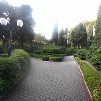 Парк на территории санатория «Пушкино» — памятник садово-парковой архитектуры начала XIX века.