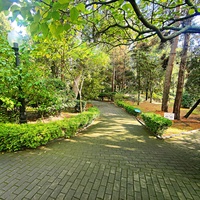 Парк на территории санатория «Пушкино» — памятник садово-парковой архитектуры начала XIX века.