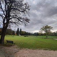 Массандровский дворцово-парковый ансамбль. Парк был заложен в 1822 году на месте грабового леса немецким садовником Карлом Кебахом.