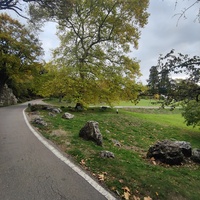 Массандровский дворцово-парковый ансамбль. Парк был заложен в 1822 году на месте грабового леса немецким садовником Карлом Кебахом.