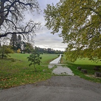 Массандровский дворцово-парковый ансамбль. Парк был заложен в 1822 году на месте грабового леса немецким садовником Карлом Кебахом.