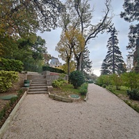 Массандровский дворцово-парковый ансамбль. Парк был заложен в 1822 году на месте грабового леса немецким садовником Карлом Кебахом.