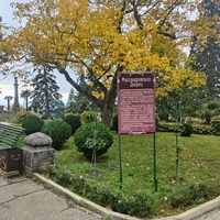 Массандровский дворцово-парковый ансамбль. Дворец построен в 1902г. как резиденция для имп. Александра III. Сочетает черты франц. ренессанса, барокко и русск. историзма. Парк заложен в 1822 г. на месте грабового леса немец. садовником Карлом Кебахом