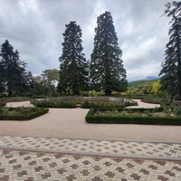 Массандровский дворцово-парковый ансамбль. Дворец построен в 1902г. как резиденция для имп. Александра III. Сочетает черты франц. ренессанса, барокко и русск. историзма. Парк заложен в 1822 г. на месте грабового леса немец. садовником Карлом Кебахом