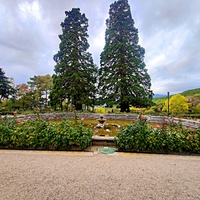 Массандровский дворцово-парковый ансамбль. Дворец построен в 1902г. как резиденция для имп. Александра III. Сочетает черты франц. ренессанса, барокко и русск. историзма. Парк заложен в 1822 г. на месте грабового леса немец. садовником Карлом Кебахом