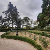 Массандровский дворцово-парковый ансамбль. Парк был заложен в 1822 году на месте грабового леса немецким садовником Карлом Кебахом.