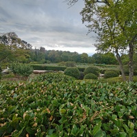 Массандровский дворцово-парковый ансамбль. Парк был заложен в 1822 году на месте грабового леса немецким садовником Карлом Кебахом.