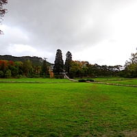 Массандровский дворцово-парковый ансамбль. Парк был заложен в 1822 году на месте грабового леса немецким садовником Карлом Кебахом.