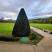 Массандровский дворцово-парковый ансамбль. Парк был заложен в 1822 году на месте грабового леса немецким садовником Карлом Кебахом.