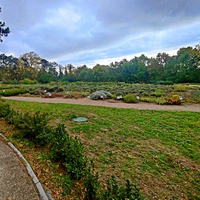 Массандровский дворцово-парковый ансамбль. Парк был заложен в 1822 году на месте грабового леса немецким садовником Карлом Кебахом.