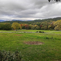 Массандровский дворцово-парковый ансамбль. Парк был заложен в 1822 году на месте грабового леса немецким садовником Карлом Кебахом.