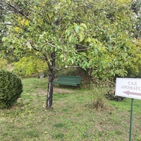 Массандровский дворцово-парковый ансамбль. Парк был заложен в 1822 году на месте грабового леса немецким садовником Карлом Кебахом.