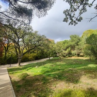 Парк-памятник садово-паркового искусства "Массандровский".  Заложен в 40-х годах XIX в. Автором первоначальной планировки был немецкий садовник К. Кебах. Создан в английском ландшафтном стиле, концепцией которого является максимальная естественность.