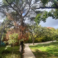 Парк-памятник садово-паркового искусства "Массандровский".  Заложен в 40-х годах XIX в. Автором первоначальной планировки был немецкий садовник К. Кебах. Создан в английском ландшафтном стиле, концепцией которого является максимальная естественность.