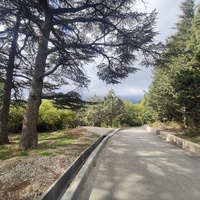 Парк-памятник садово-паркового искусства "Массандровский".  Заложен в 40-х годах XIX в. Автором первоначальной планировки был немецкий садовник К. Кебах. Создан в английском ландшафтном стиле, концепцией которого является максимальная естественность.