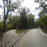 Парк-памятник садово-паркового искусства "Массандровский".  Заложен в 40-х годах XIX в. Автором первоначальной планировки был немецкий садовник К. Кебах. Создан в английском ландшафтном стиле, концепцией которого является максимальная естественность.