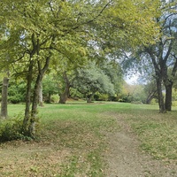 Парк-памятник садово-паркового искусства "Массандровский".  Заложен в 40-х гг. XIX в. Автор первоначальной планировки - немецкий садовник К. Кебах. Создан в английском ландшафтном стиле максимальной естественности.