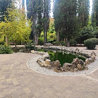 Парк-памятник садово-паркового искусства "Массандровский".  Заложен в 40-х гг. XIX в. Автор первоначальной планировки - немецкий садовник К. Кебах. Создан в английском ландшафтном стиле максимальной естественности.  Пруд с черепахами.