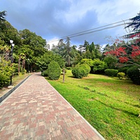 Парк-памятник садово-паркового искусства "Массандровский".  Заложен в 40-х гг. XIX в. Автор первоначальной планировки - немецкий садовник К. Кебах. Создан в английском ландшафтном стиле максимальной естественности. Пальмовая аллея.