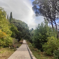 Парк-памятник садово-парков. искусства "Массандровский".  Заложен в 40-х гг. XIX в. Автор первонач. планировки - немецкий садовник К. Кебах. Создан в английском ландшафтном стиле максимальной естественности. Ажурные металлические арки над лавочками.