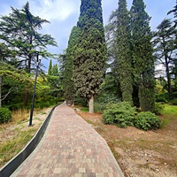 Парк-памятник садово-паркового искусства "Массандровский".  Заложен в 40-х гг. XIX в. Автор первоначальной планировки - немецкий садовник К. Кебах. Создан в английском ландшафтном стиле максимальной естественности.