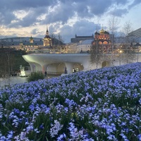 Парящий мост в Зарядье
