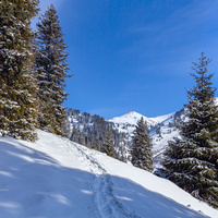 Алматы. Иле-Алатауский национальный парк. Ущелье Ким асар.