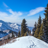 Алматы. Иле-Алатауский национальный парк. Ущелье Ким асар.