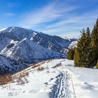 Алматы. Иле-Алатауский национальный парк. Ущелье Ким асар.